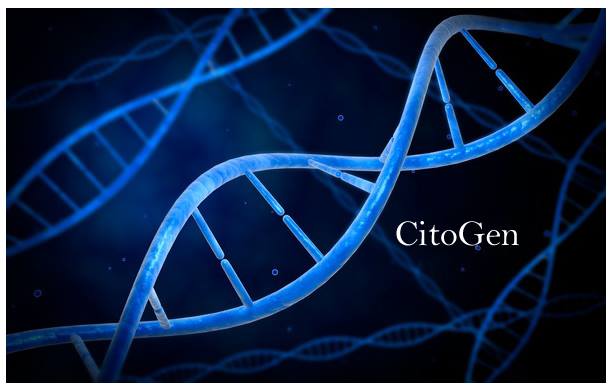 cito1